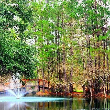 Waterfront Houston Hide Out In A Magical Forest Waller Luaran gambar