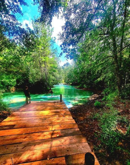 Waterfront Houston Hide Out In A Magical Forest Waller Luaran gambar