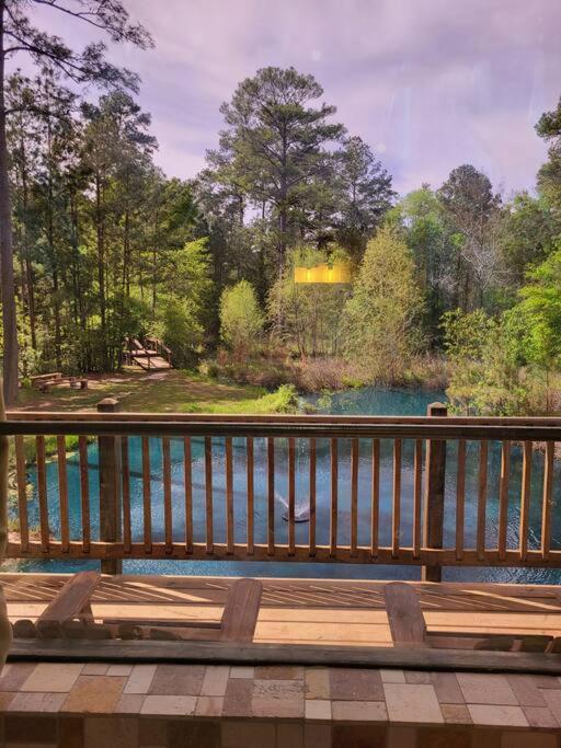 Waterfront Houston Hide Out In A Magical Forest Waller Luaran gambar