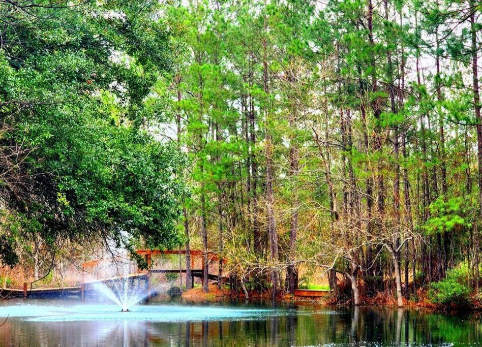 Waterfront Houston Hide Out In A Magical Forest Waller Luaran gambar